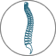 Spine